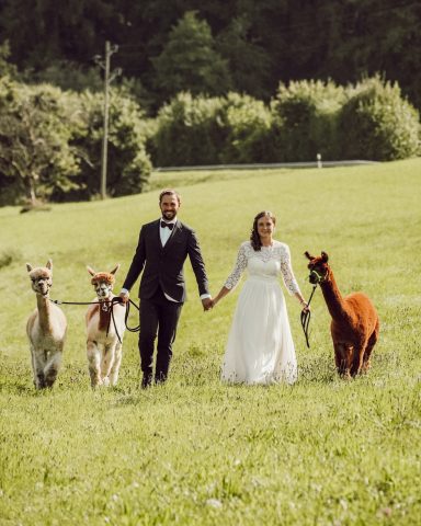 Tierportäts & Brautpaar-Shooting